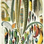 Vintage Posters