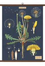 VINTAGE SCHOOL CHART - Dandelion (70x100cm)