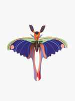 DIY DECORATION MURAL - Papillon-Comète de Madagascar Bleu