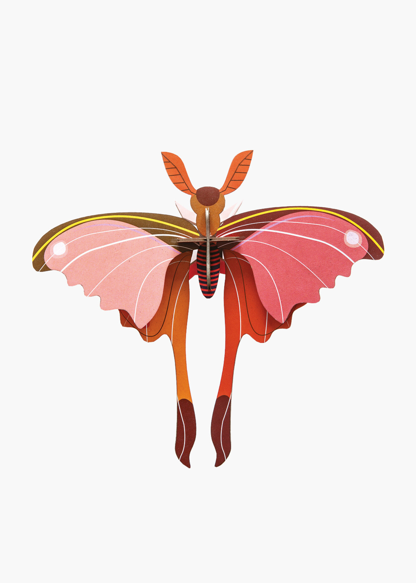 DIY DECORATION MURAL - Papillon-Comète de Madagascar Rose