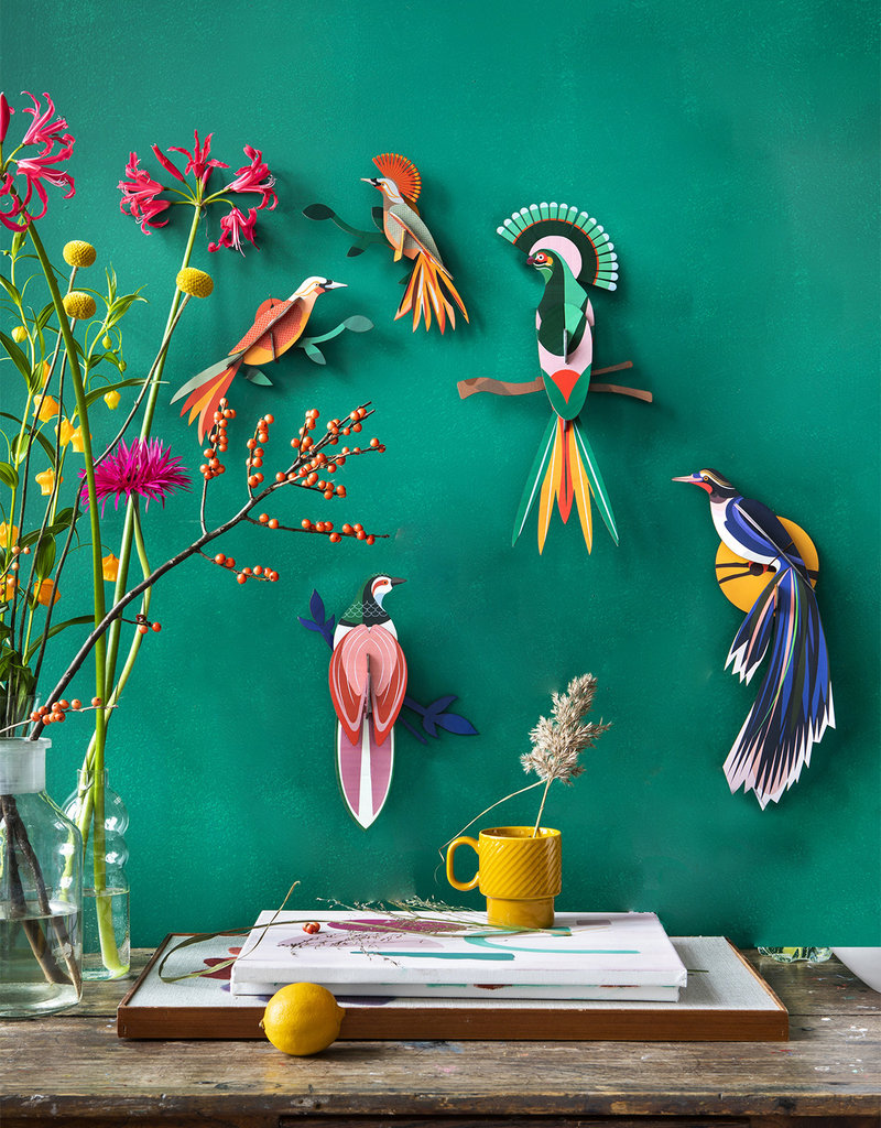 DIY DECORATION MURAL - Oiseaux du Paradis - Obi