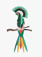 DIY WALL DECORATION - Bird of Paradise - Gili