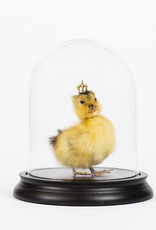 Animaux Spéciaux King George (met stolp)