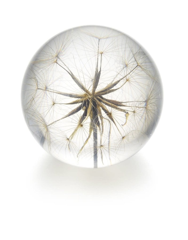 Hafod Grange PRESSE-PAPIER - Morgenster