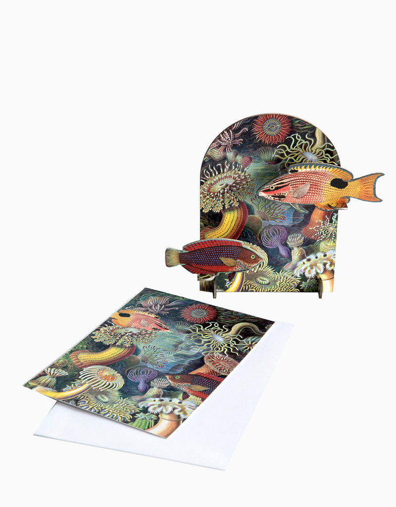 POP-OUT CARD - Extravaganza - Fish