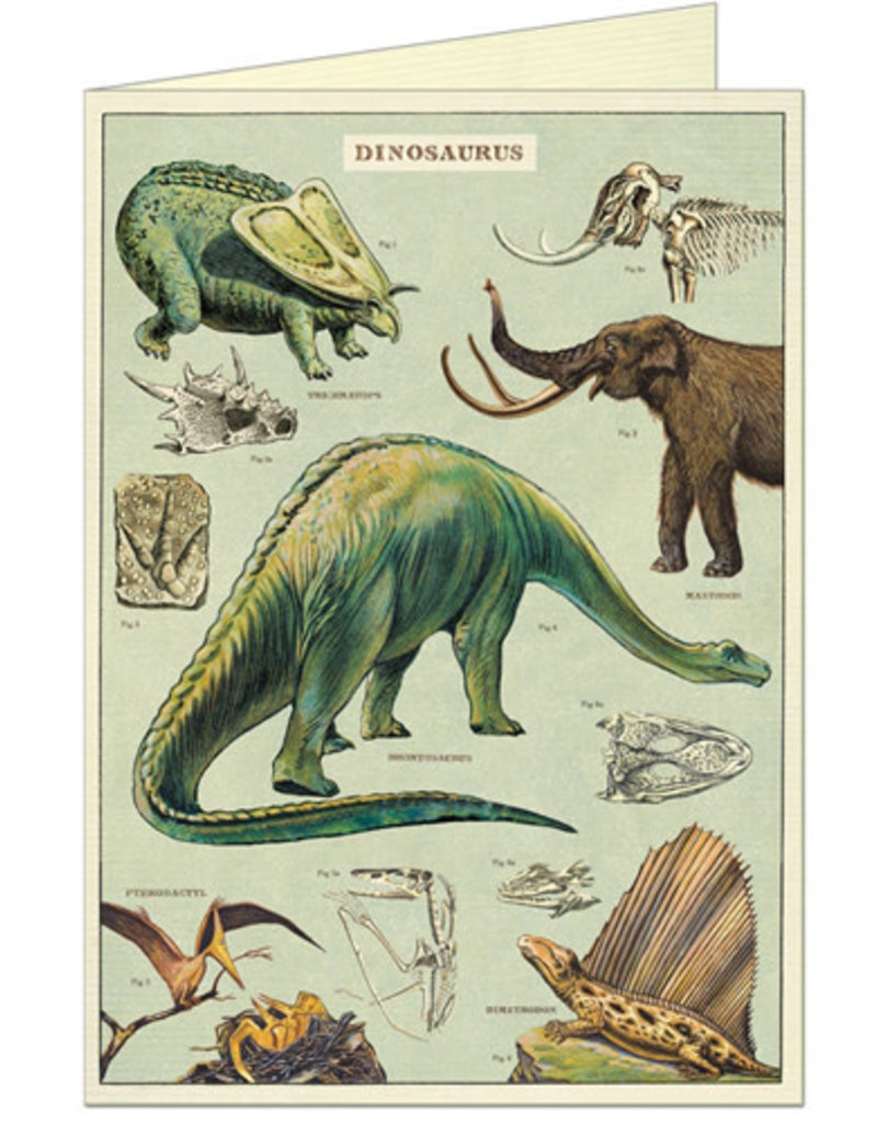 VINTAGE WENSKAART - Dinosaurussen