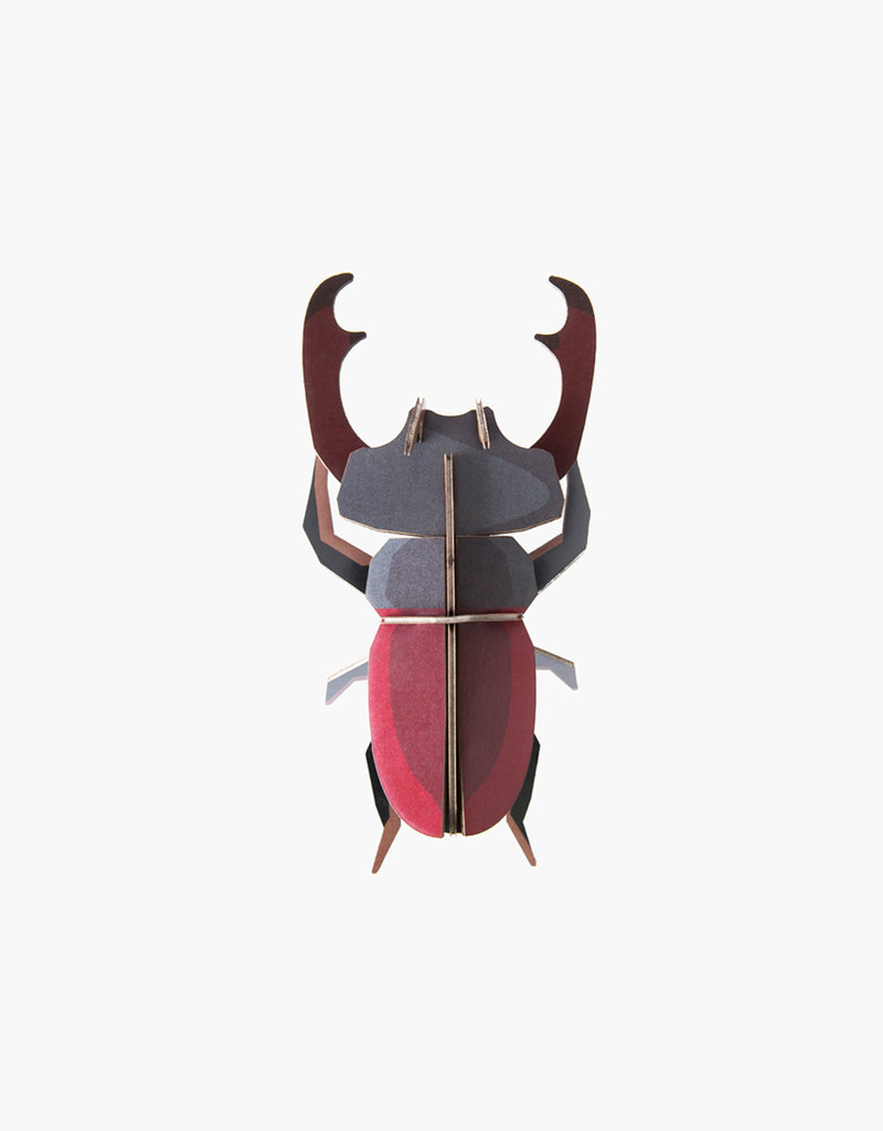 DIY WALL DECORATION - Stag Beetle