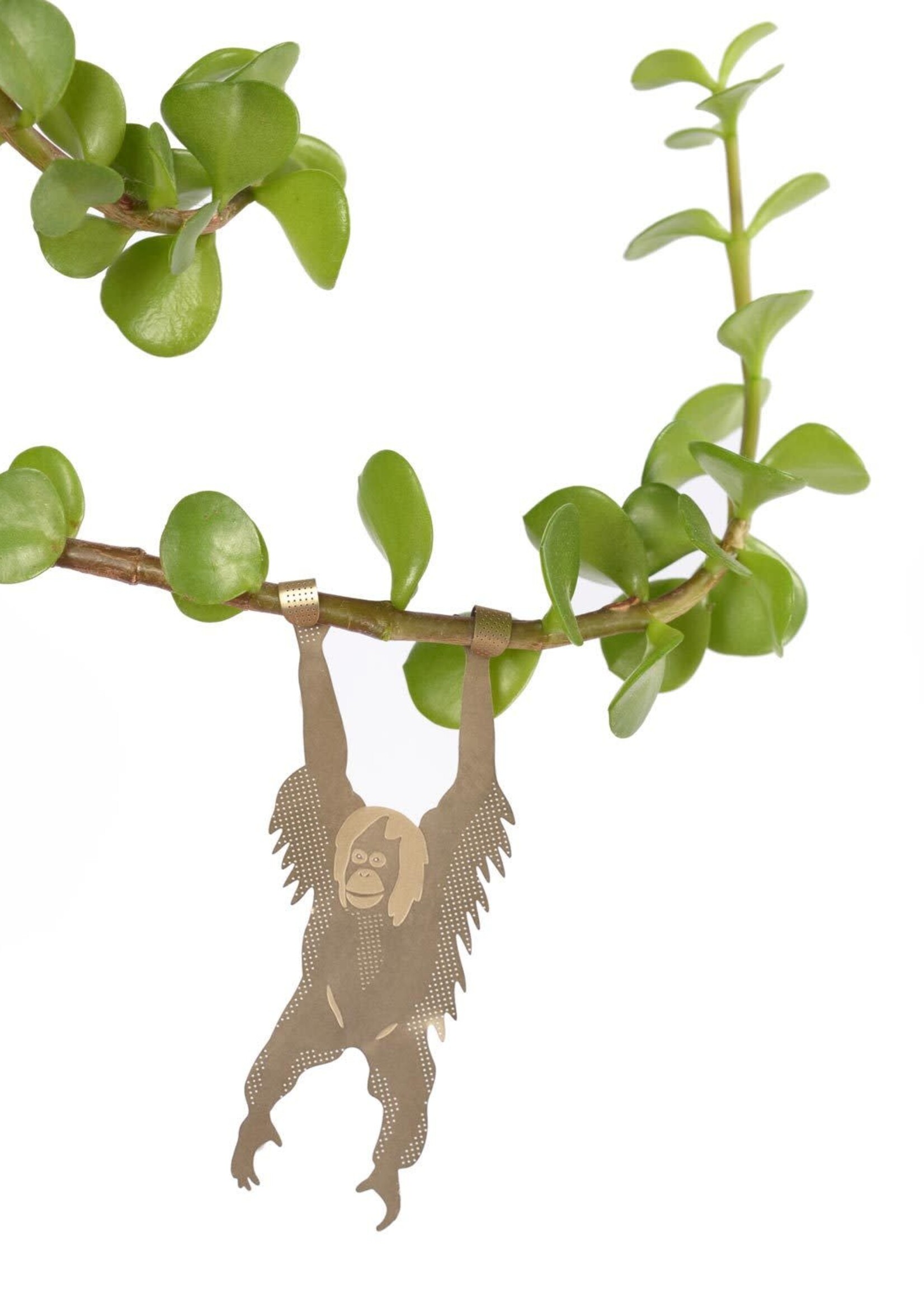 GOLDEN PLANT HANGER - Orangutan
