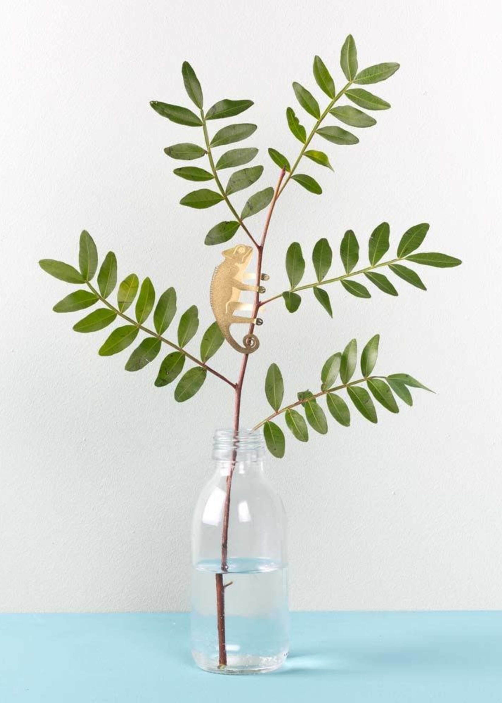 CINTRE DORE PLANTE - Caméléon