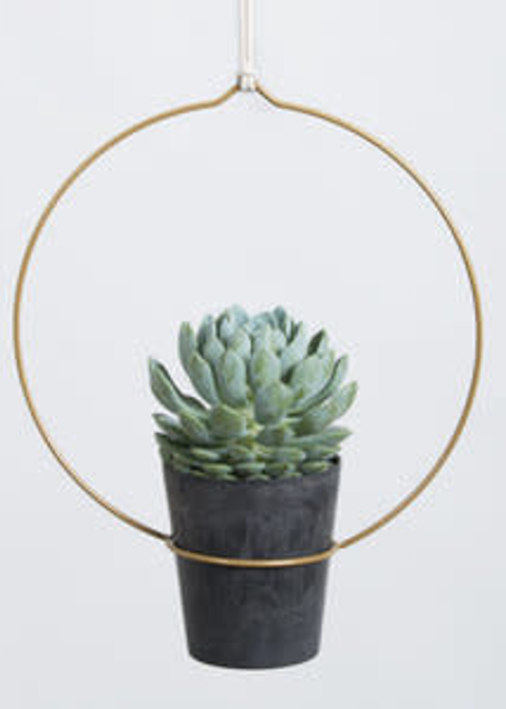 CINTRE PLANTE - Circula - Or Antique