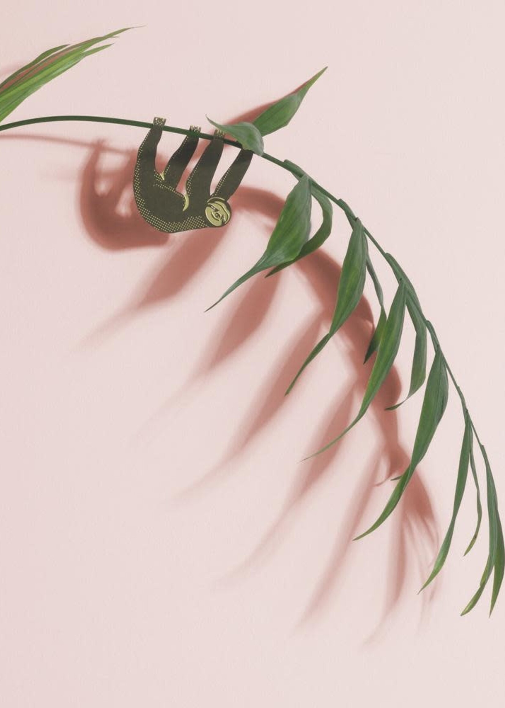 CINTRE DORE PLANTE - Paresseux