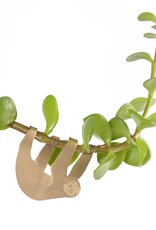 CINTRE DORE PLANTE - Paresseux