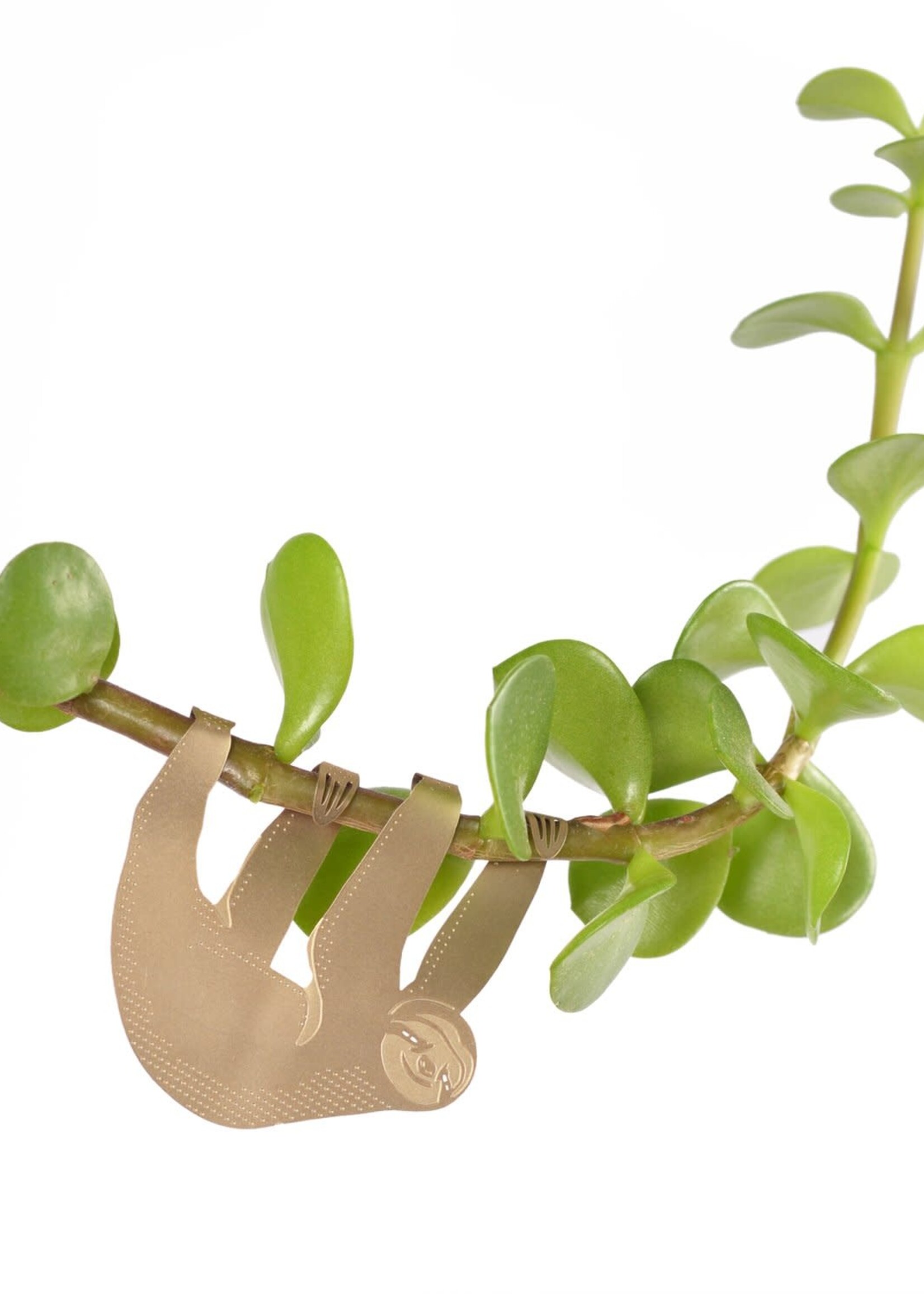 GOLDEN PLANT HANGER - Sloth