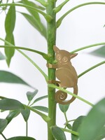 GOLDEN PLANT HANGER - Bush Baby