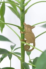 GOLDEN PLANT HANGER - Bush Baby