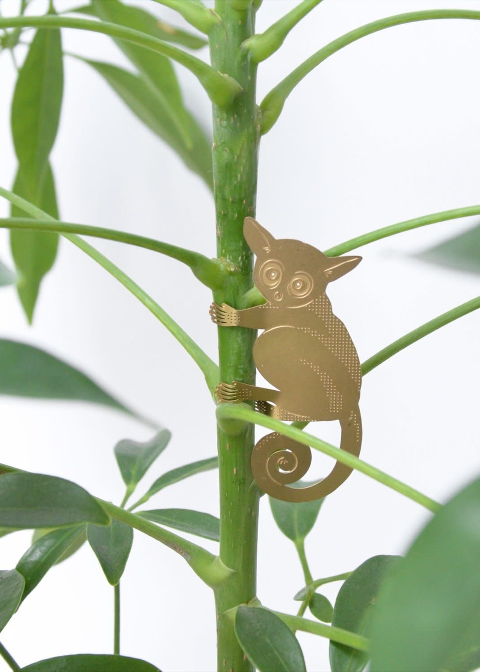 GOUDEN PLANTENHANGER - Galago
