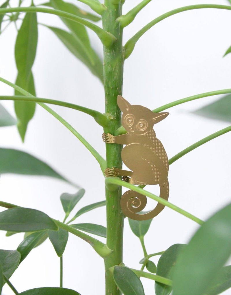 GOLDEN PLANT HANGER - Bush Baby