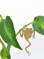 GOUDEN PLANTENHANGER - Boomkikker