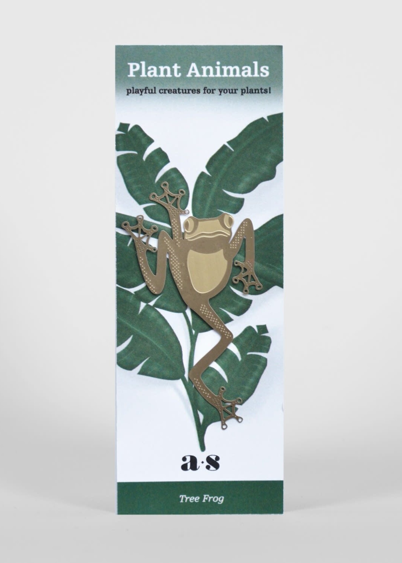 CINTRE DORE PLANTE - Grenouille Arboricole