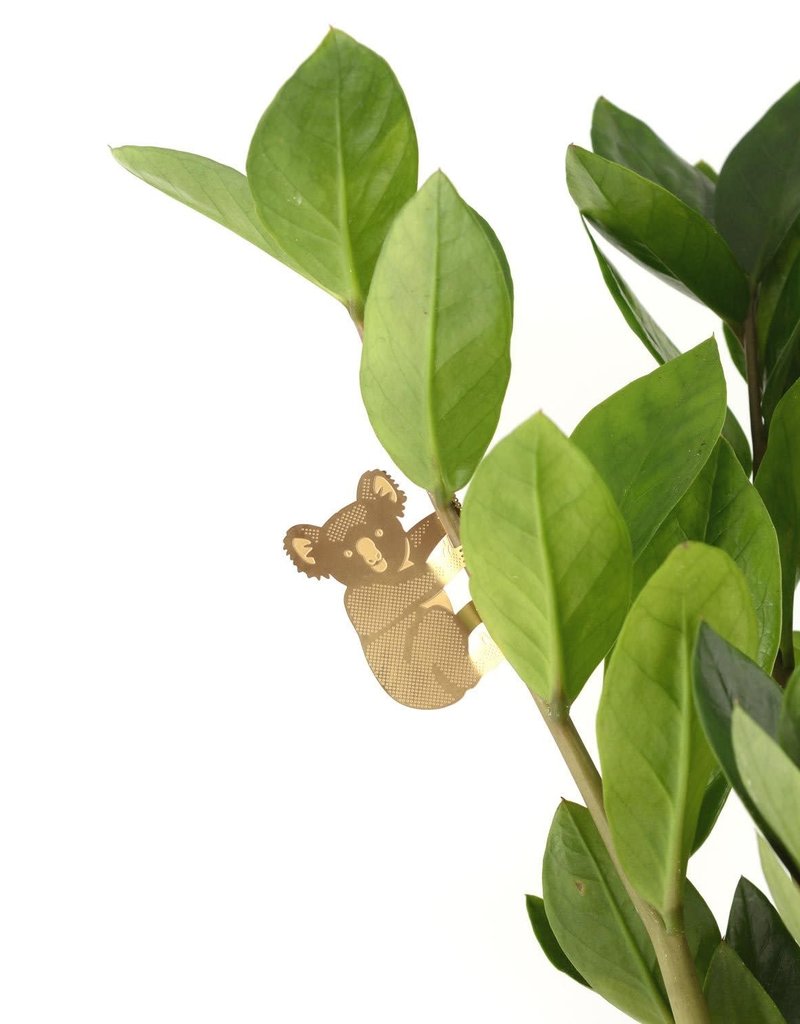 GOLDEN PLANT HANGER - Koala