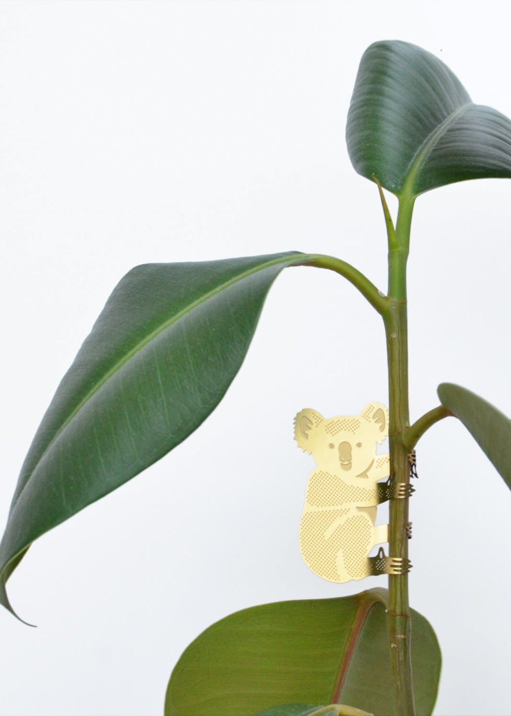 GOLDEN PLANT HANGER - Koala