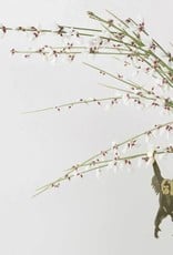 GOLDEN PLANT HANGER - Orangutan