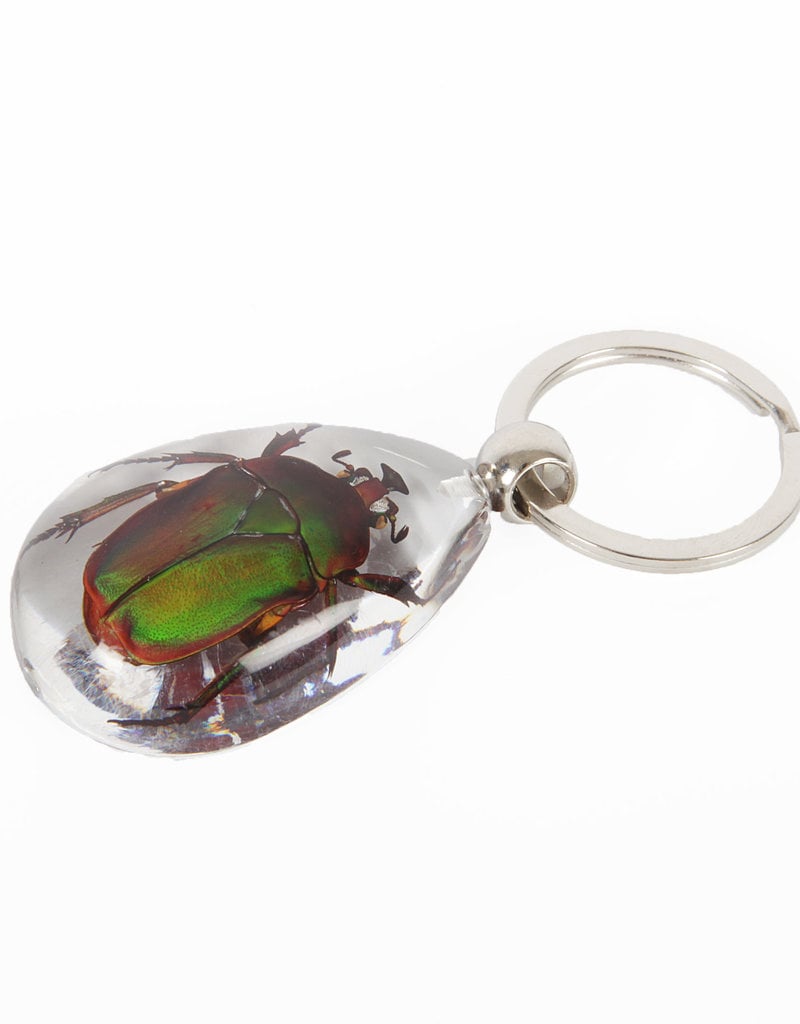 Animaux Spéciaux KEYCHAIN - The Flower Beetle