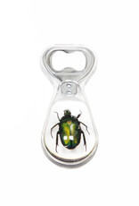 Animaux Spéciaux BOTTLE OPENER - Green Beetle