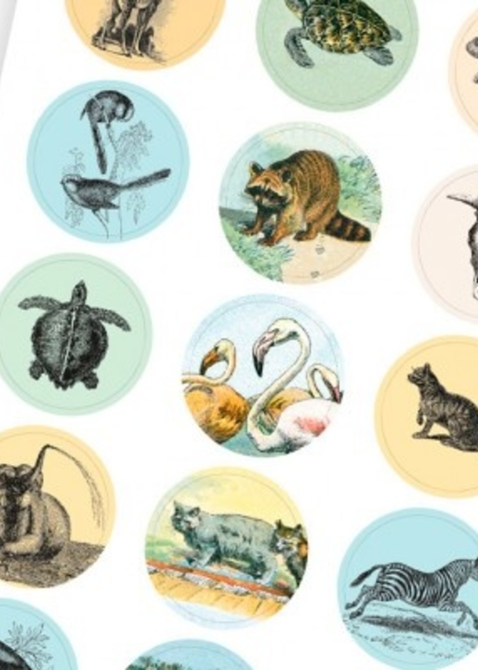 The Pepin Press LABEL & STICKER BOOK - Histoire Naturelle