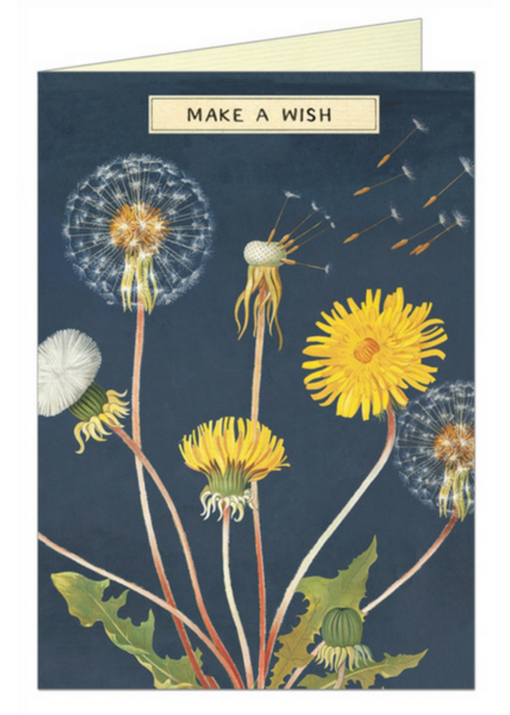 VINTAGE WENSKAART - Make a Wish - Paardenbloem