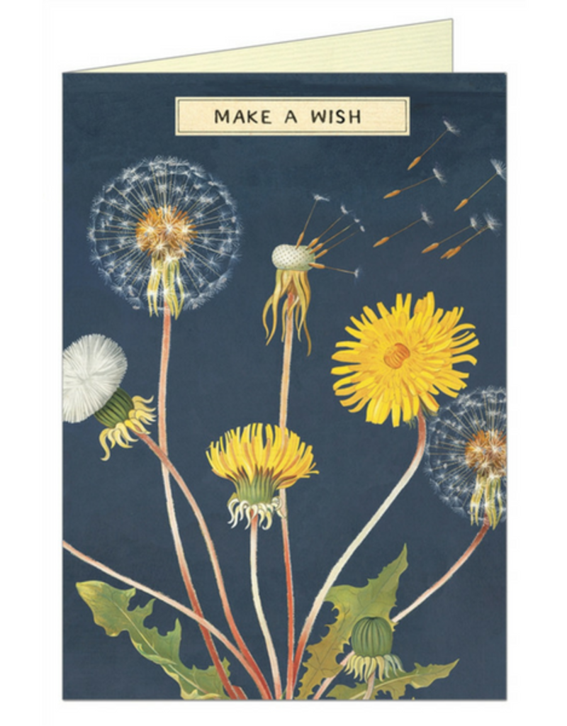 VINTAGE GREETING CARD - Make a Wish - Dandelion