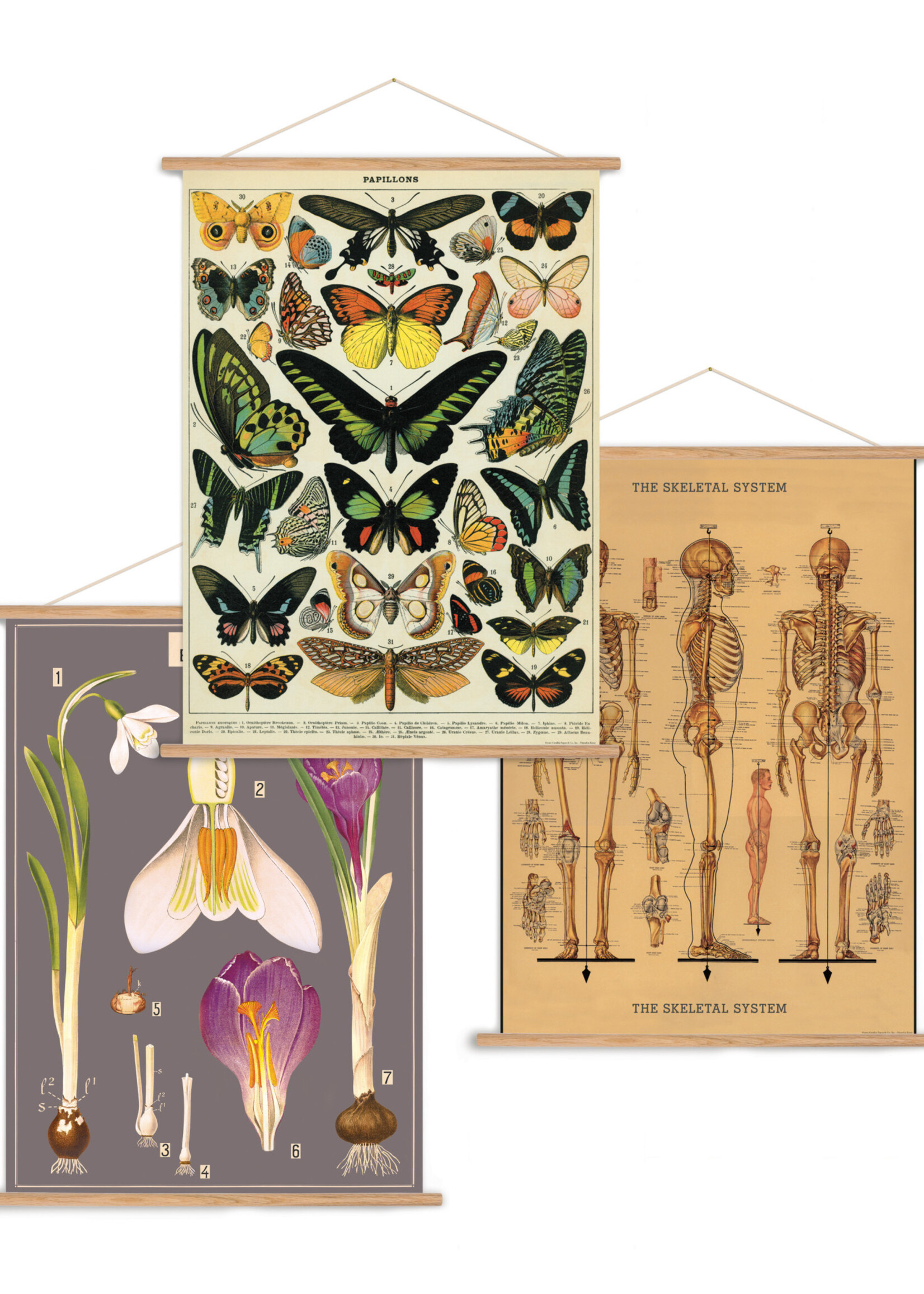 KIT D'AFFICHAGE VINTAGE - Vertical