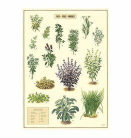 AFFICHE VINTAGE - Fines Herbes (50x70cm)