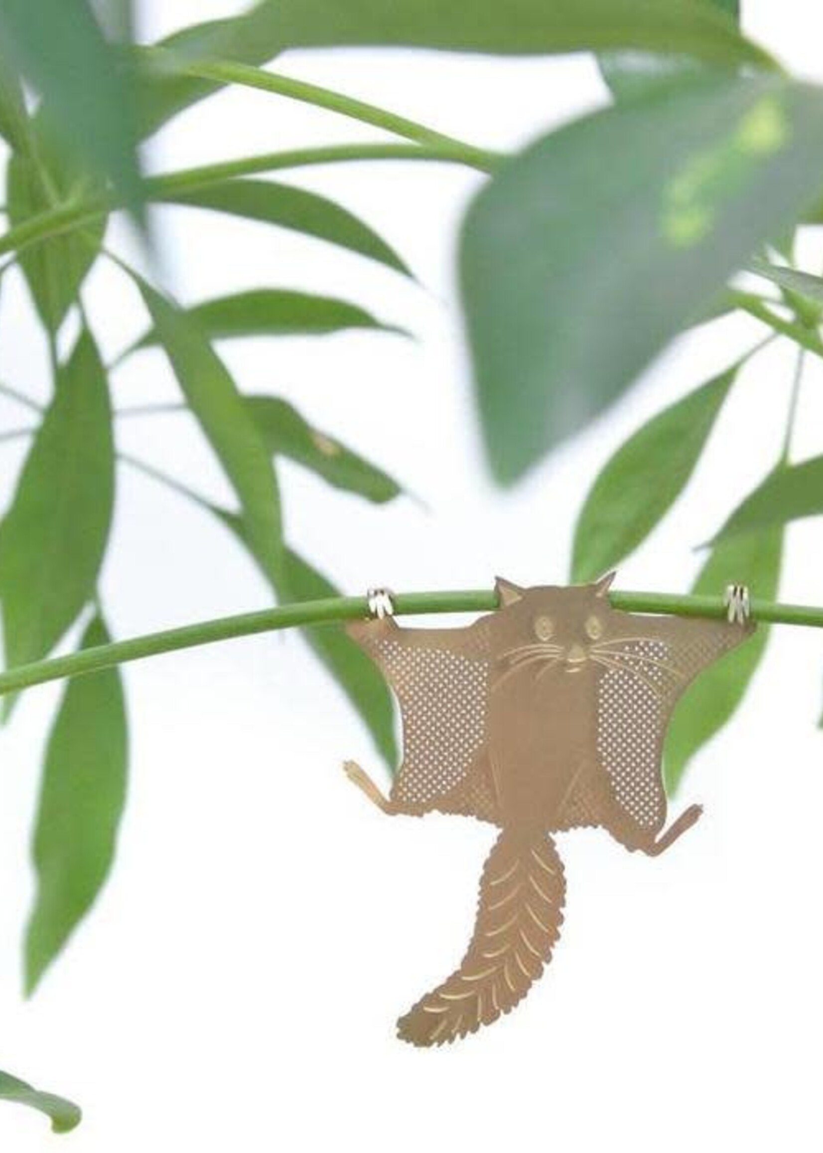 CINTRE DORE PLANTE - Ecureuil Volant