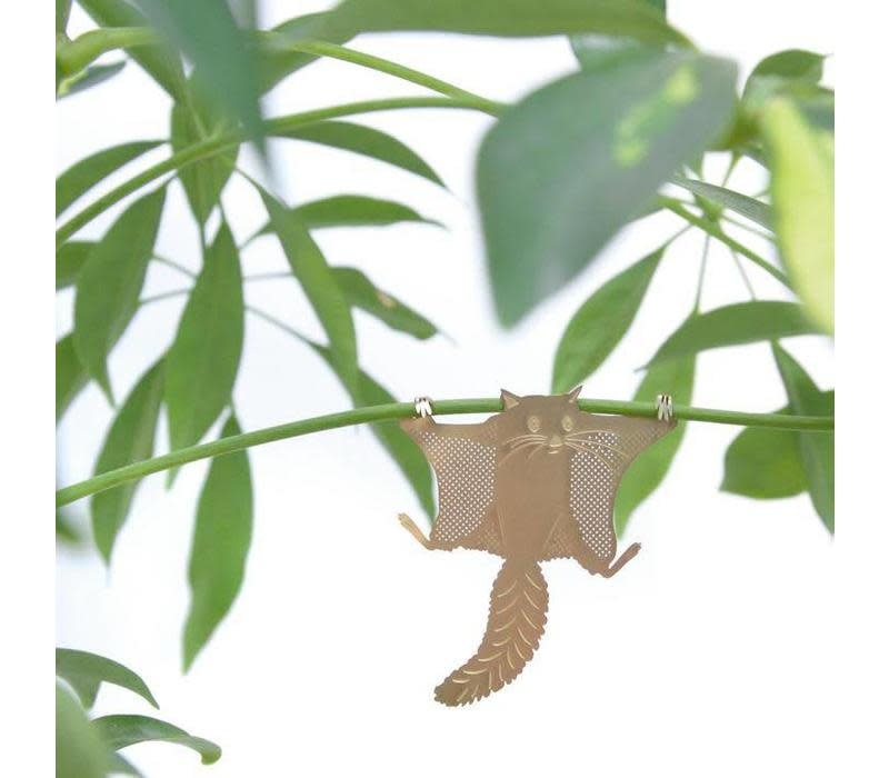 GOLDEN PLANT HANGER - Flying Squirrel - Animaux Spéciaux GOLDEN PLANT HANGER - Flying Squirrel - Animaux Spéciaux