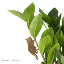 Animaux Spéciaux Botanical Wonders Maranta Fascinator