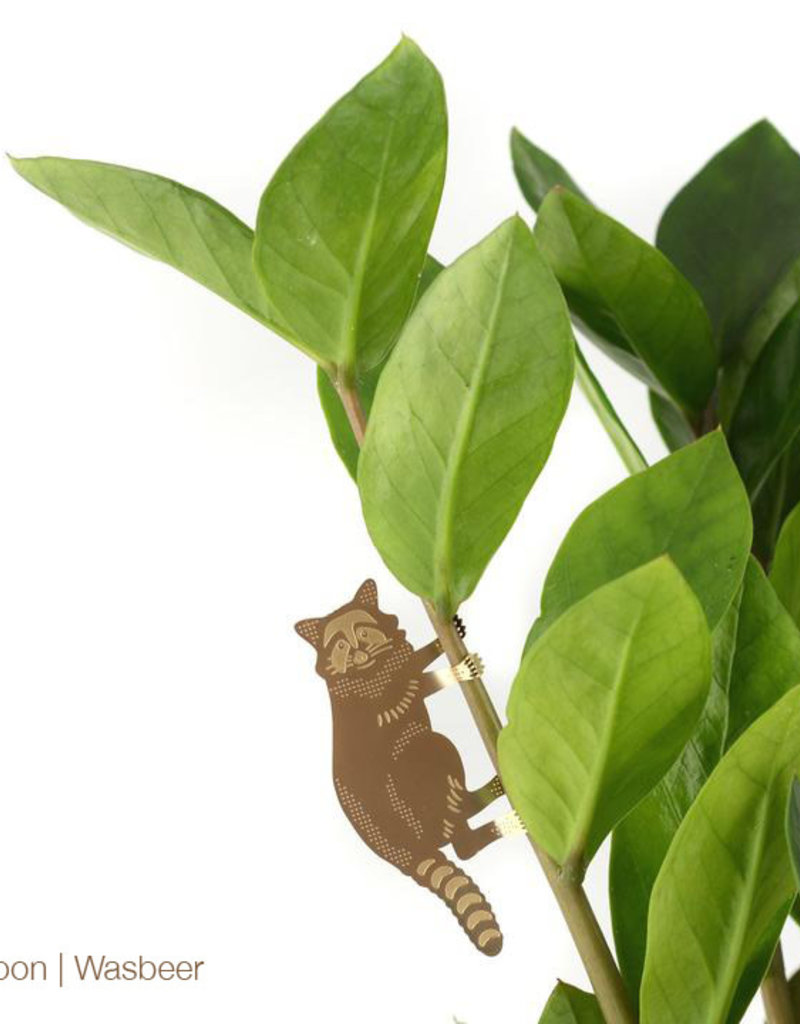 GOLDEN PLANT HANGER - Raccoon