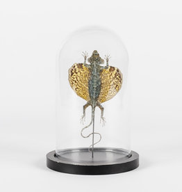 Animaux Spéciaux Stolpje met vliegend draakje