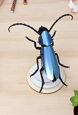 DIY DECORATION - Rosalia Beetle