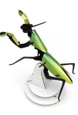 DIY DECORATION - Praying Mantis