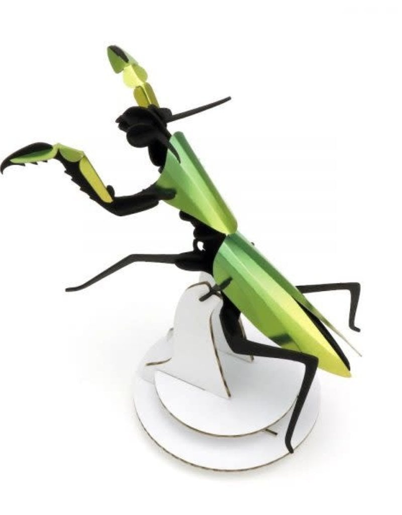 DIY DECORATION - Praying Mantis