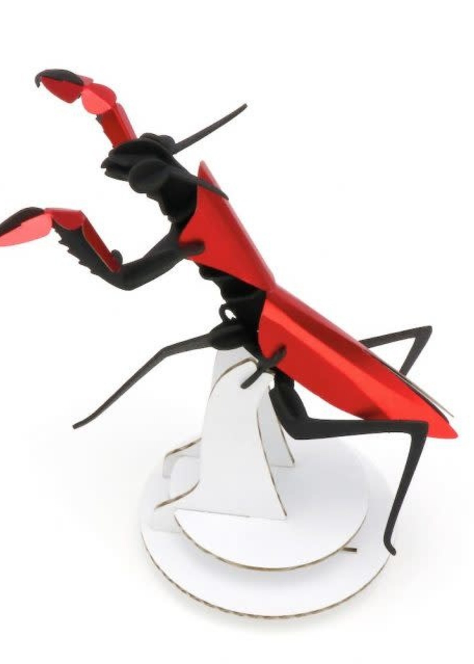 DIY DECORATION - Praying Mantis