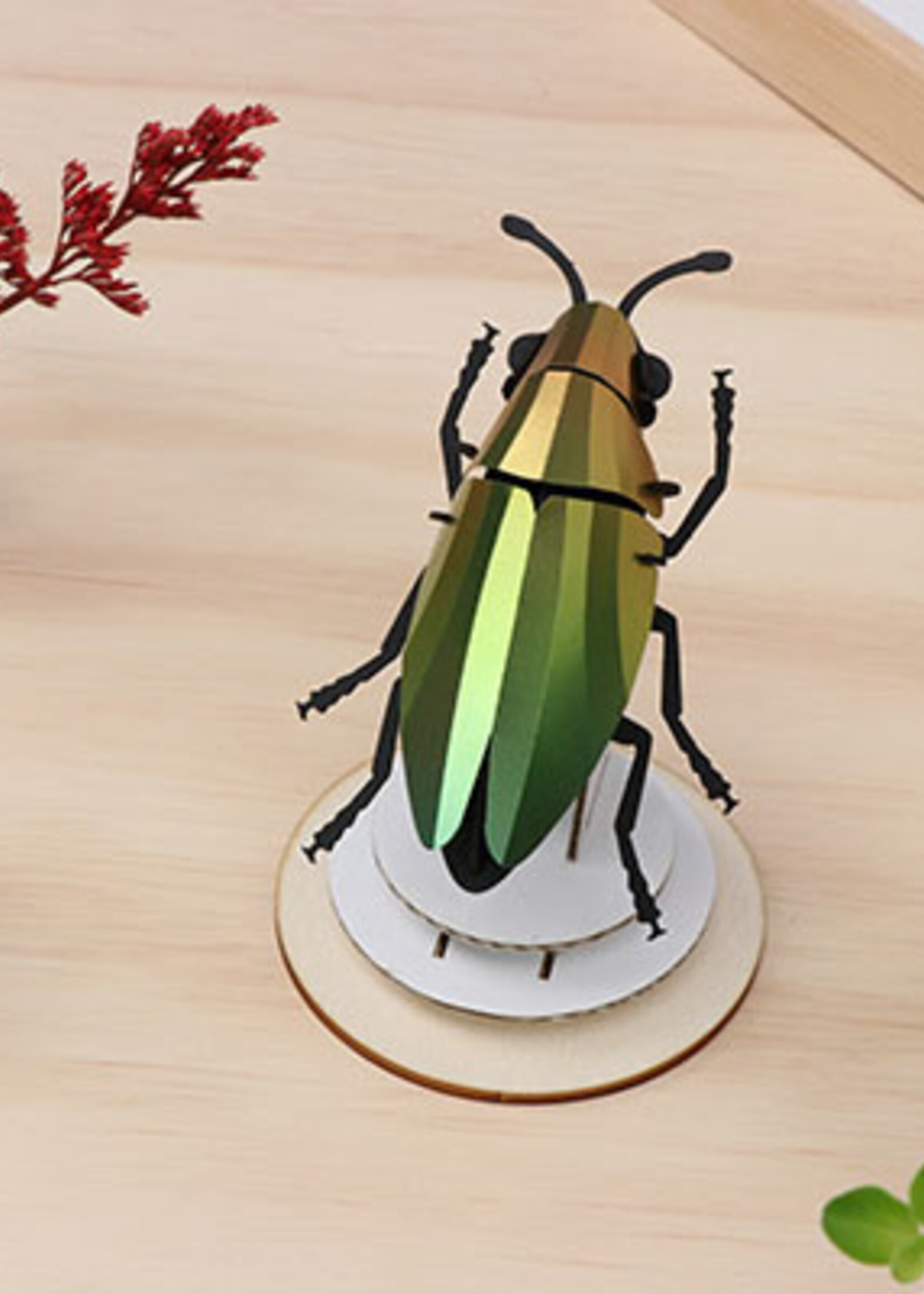 DIY DECORATION - Coléoptère Buprestidae