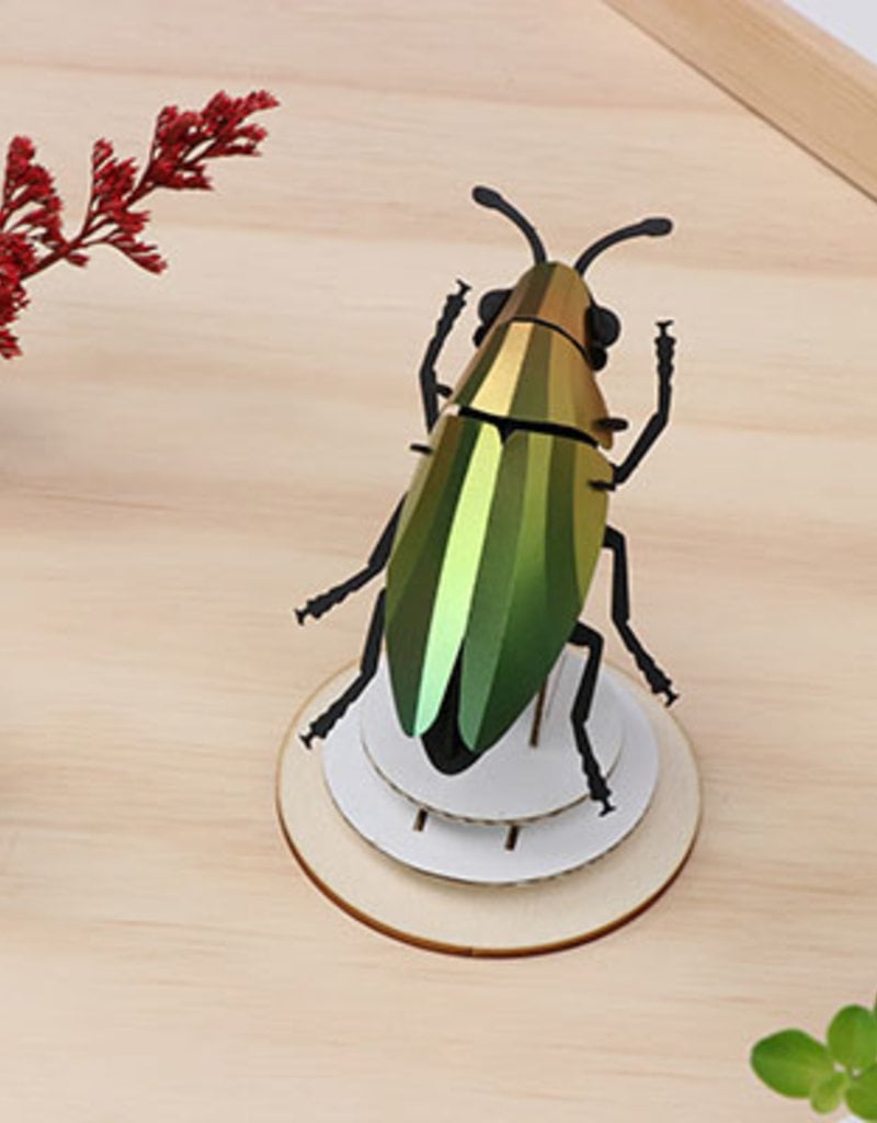 DIY DECORATION - Jewel Beetle