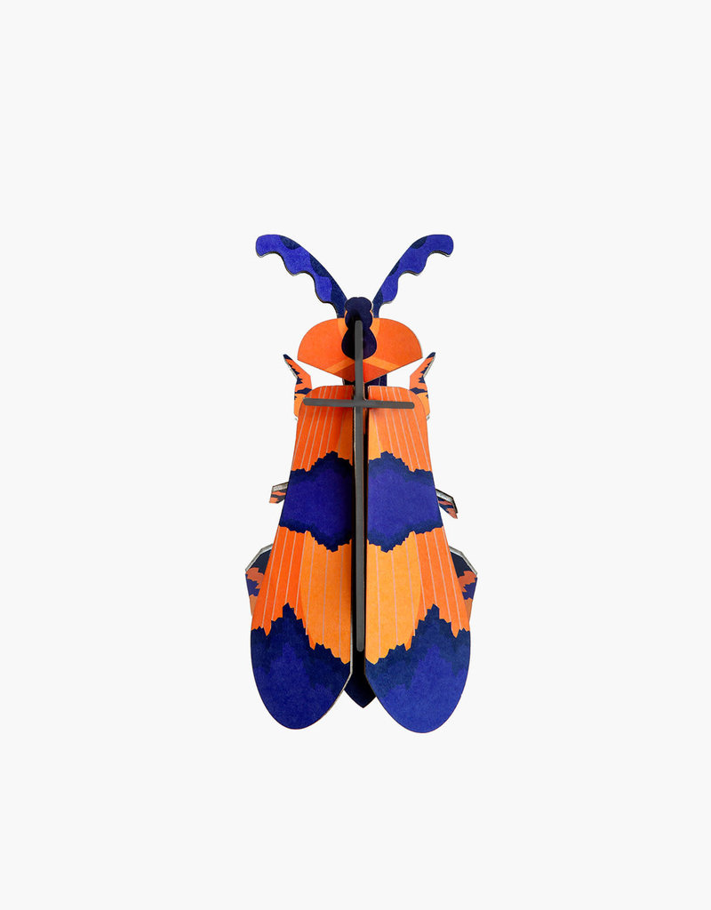 DIY WALL DECORATION - Winged Beetle