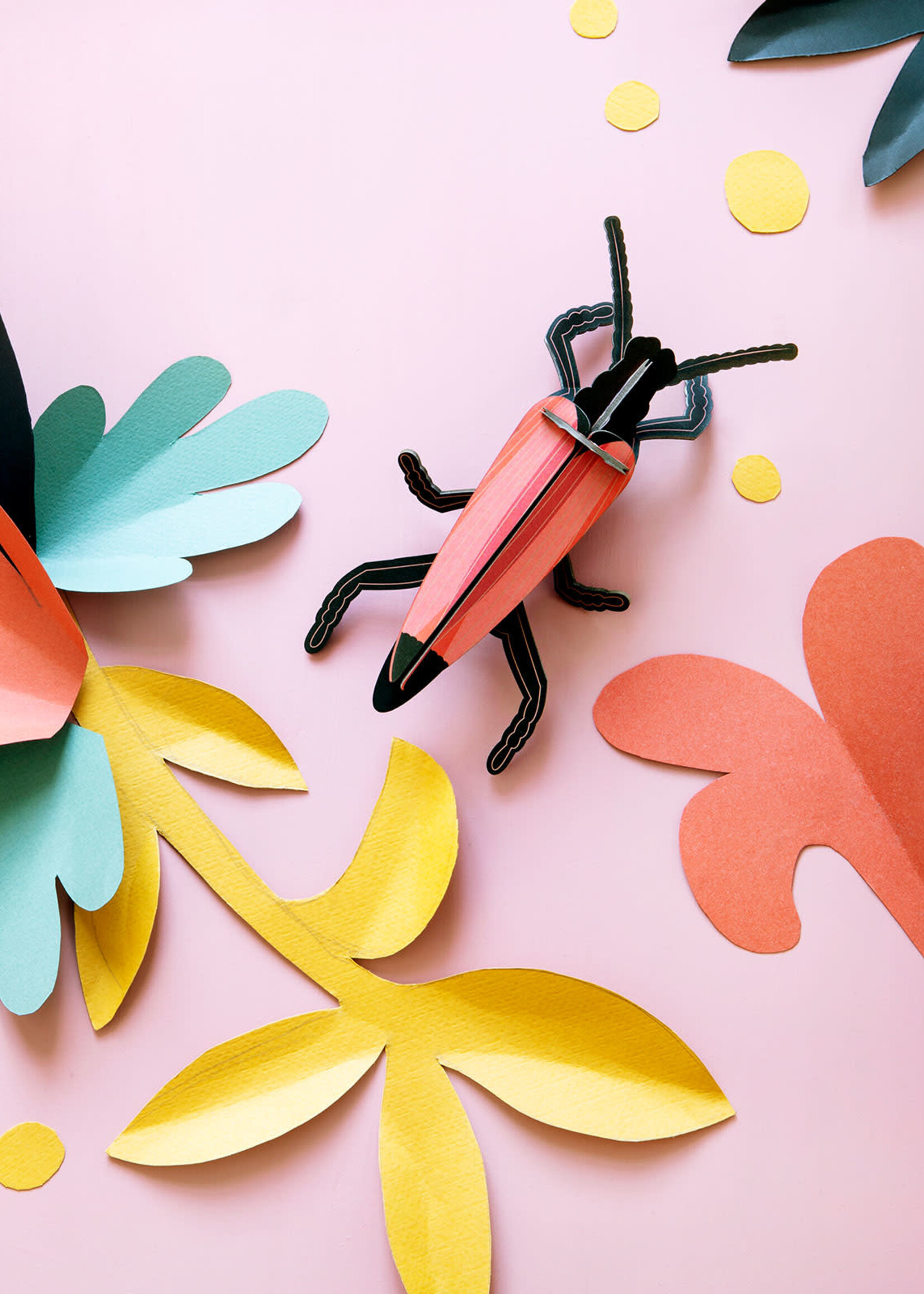 DIY WANDDECORATIE - Langhoorn Kever