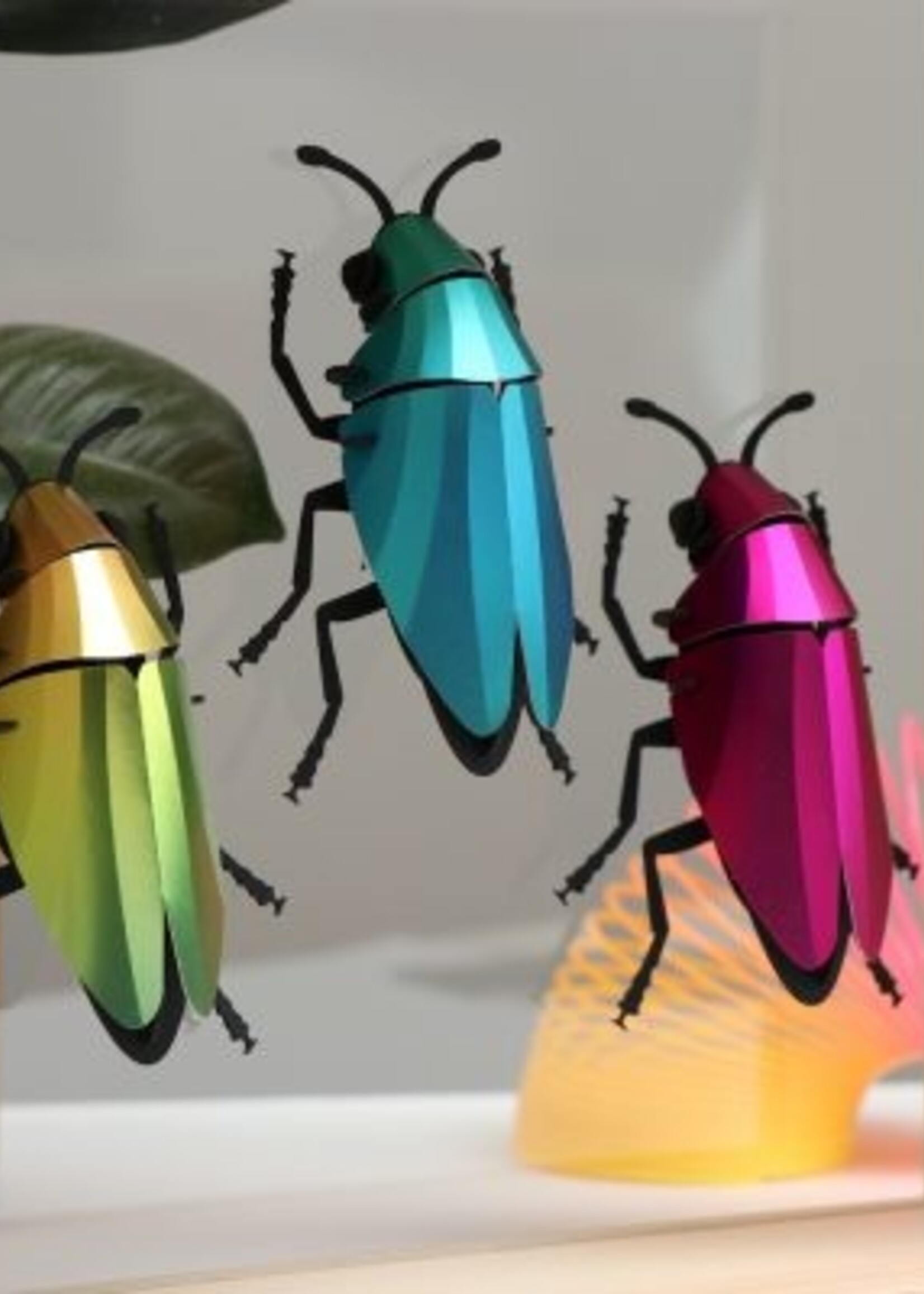 DIY DECORATION - Coléoptère Buprestidae