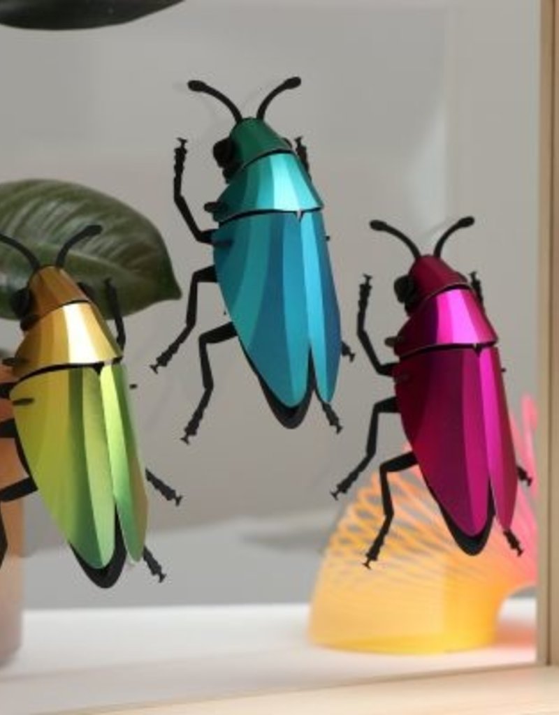 DIY DECORATION - Coléoptère Buprestidae