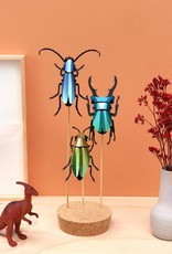 DIY DECORATION - Coléoptère Buprestidae