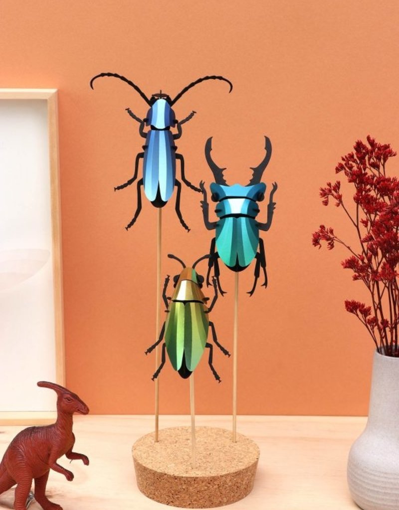 DIY DECORATION - Coléoptère Buprestidae